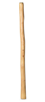Medium Size Natural Finish Didgeridoo (TW694)